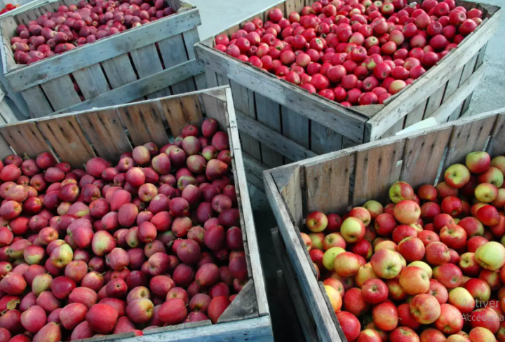 Entreposage de pomme, Laval