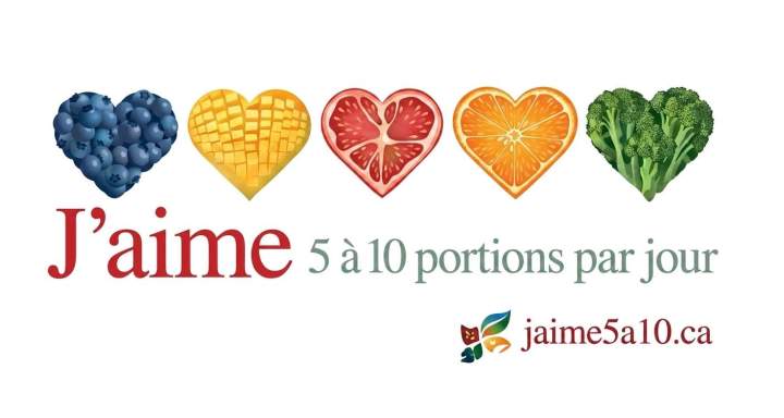 Logo jaime5a10