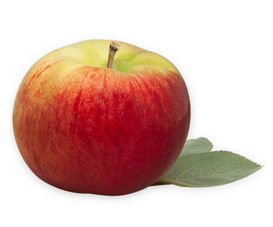 Cortland 