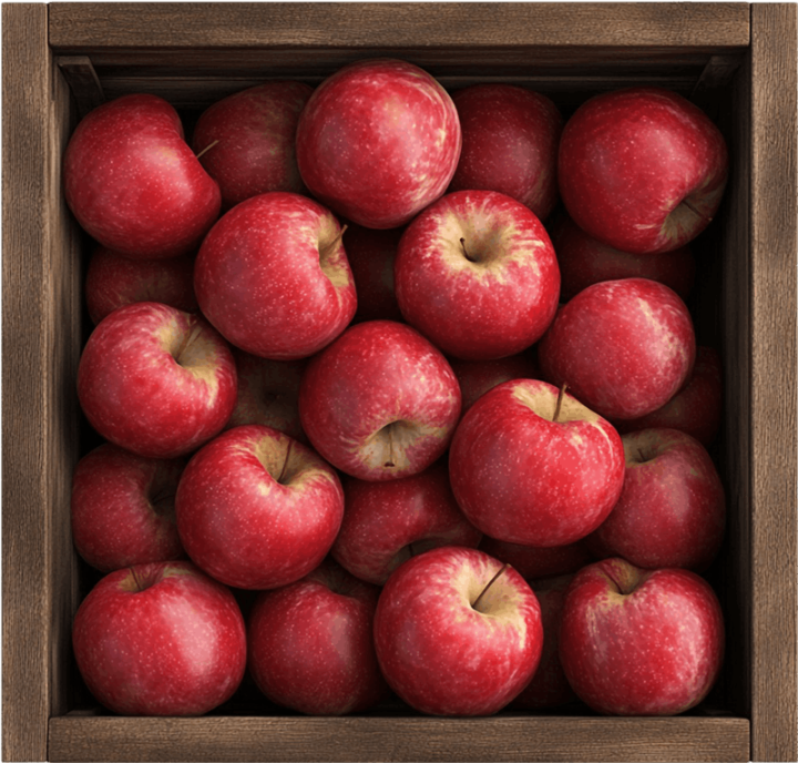 Mélange de pommes vertes et rouges Saint-Joseph-du-Lac	
