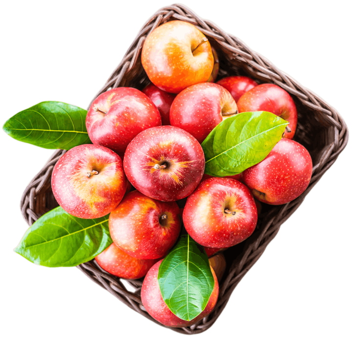 Plusieurs pomme McIntosh Saint-Joseph-du-Lac