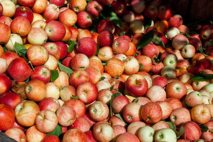 Pomme en vrac Saint-Joseph-du-Lac	