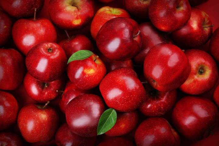 Approvisionnement de pommes Saint-Joseph-du-Lac	